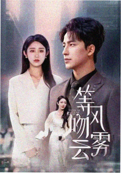 菠萝免费观看热播电视剧厨房里的战争